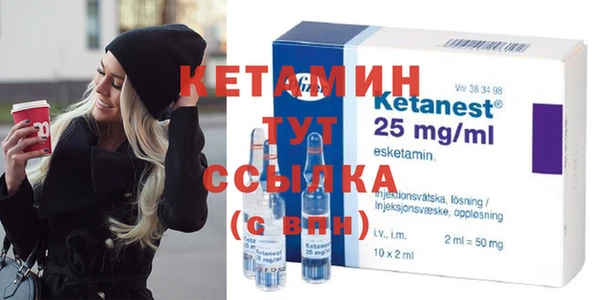 стаф Алзамай