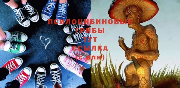 стаф Алзамай