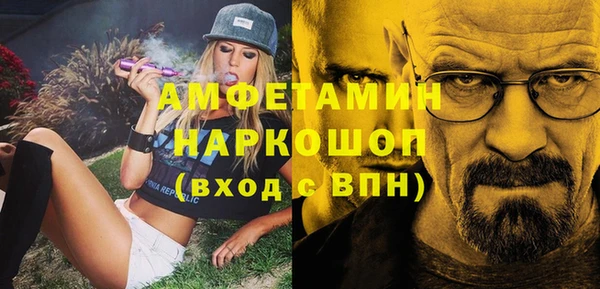стаф Алзамай