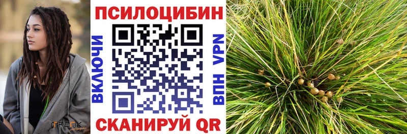 Галлюциногенные грибы мухоморы Котельники