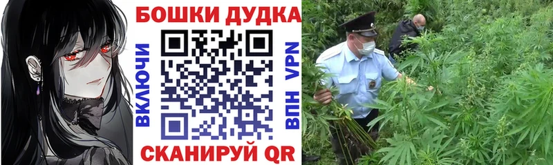 купить закладку  darknet формула  МАРИХУАНА SATIVA & INDICA  Котельники 